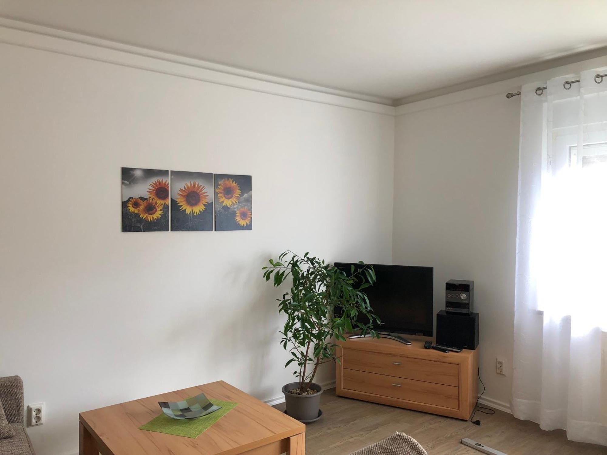Harzquerbahnblick Apartment *
